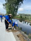 CHI ĐOÀN TRƯỜNG TIỂU HỌC PHÚ LƯƠNG I THAM GIA TRỒNG CÂY XANH TẠI TRỤC ĐƯỜNG TỔ DÂN PHỐ 9